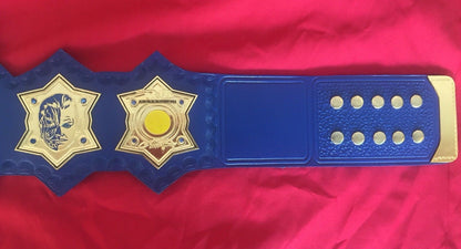 TNA Jeff Hardy Championship Belt
