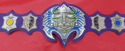 TNA Jeff Hardy Championship Belt