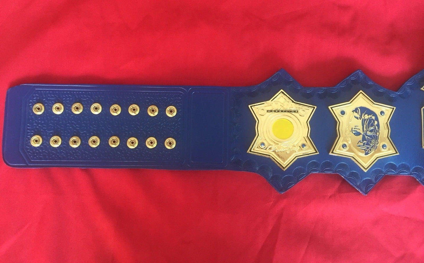 TNA Jeff Hardy Championship Belt