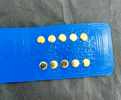 Jeff Hardy TNA Championship Belt