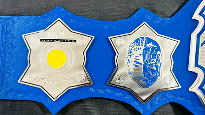 Jeff Hardy TNA Championship Belt
