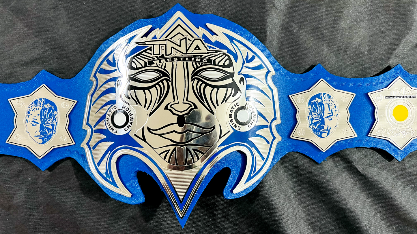 Jeff Hardy TNA Championship Belt