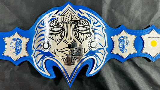 Jeff Hardy TNA Championship Belt