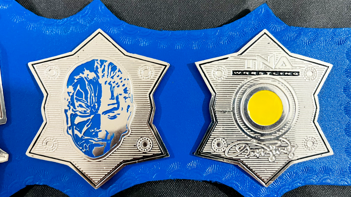 Jeff Hardy TNA Championship Belt