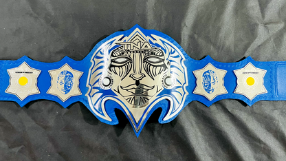 Jeff Hardy TNA Championship Belt
