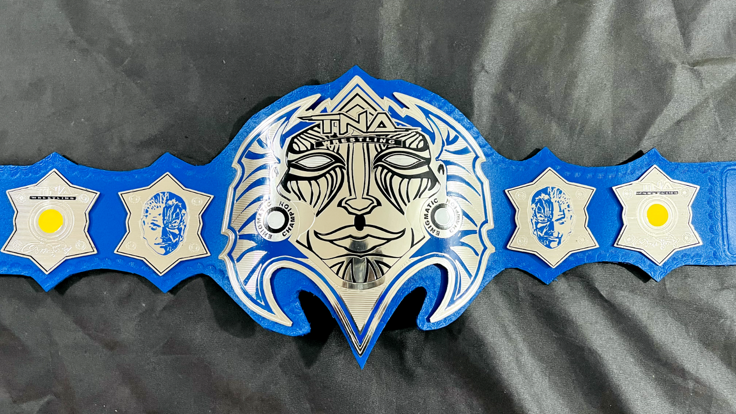 Jeff Hardy TNA Championship Belt