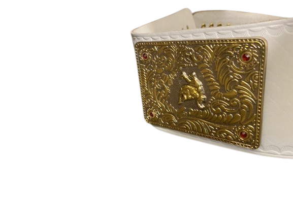 WWE Big Gold Heavyweight Belt