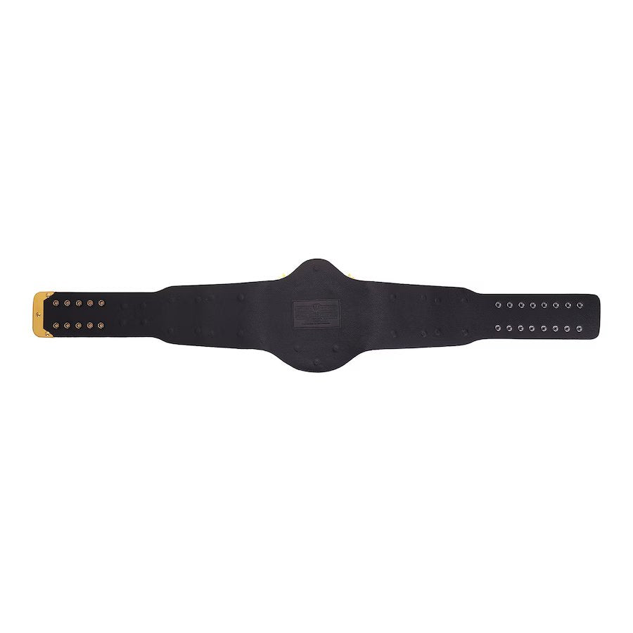 WWE Winged Eagle Replica Belt