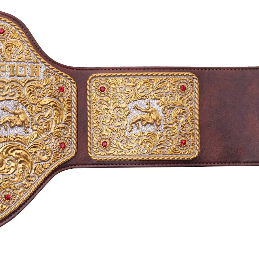 WWE Big Gold World Heavyweight Belt