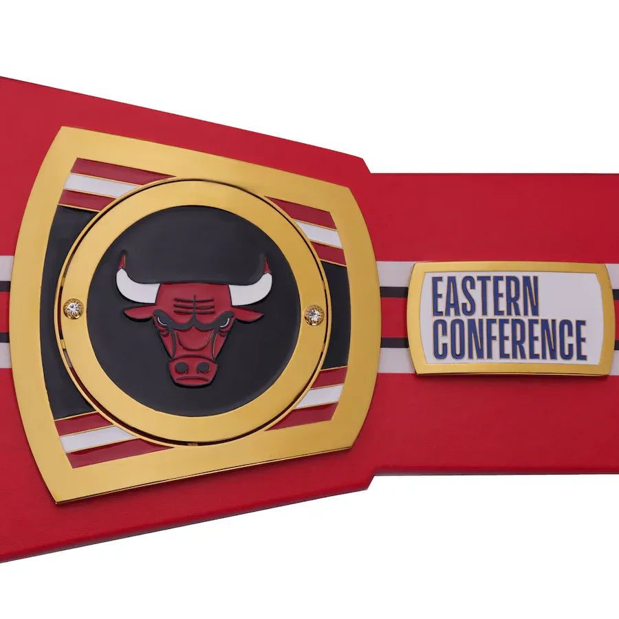 WWE Chicago Bulls NBA Championship Belt