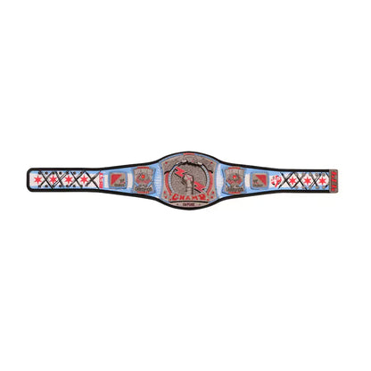 CM Punk WWE Signature Championship Belt