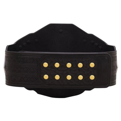 WWE NXT 2024 Championship Belt