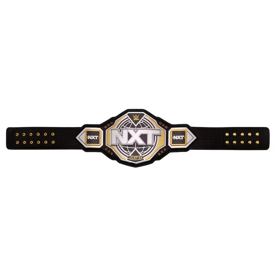 WWE NXT 2024 Championship Belt