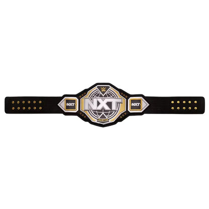 WWE NXT 2024 Championship Belt