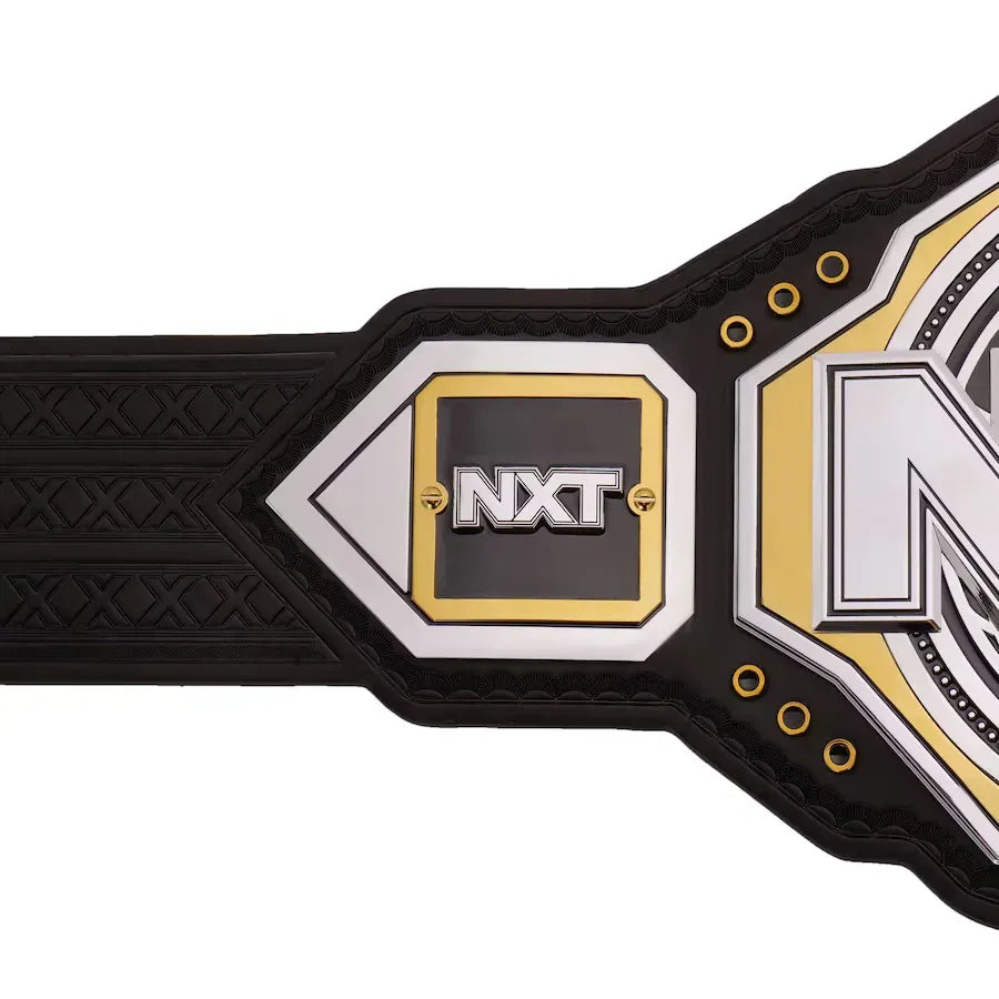 WWE NXT 2024 Championship Belt