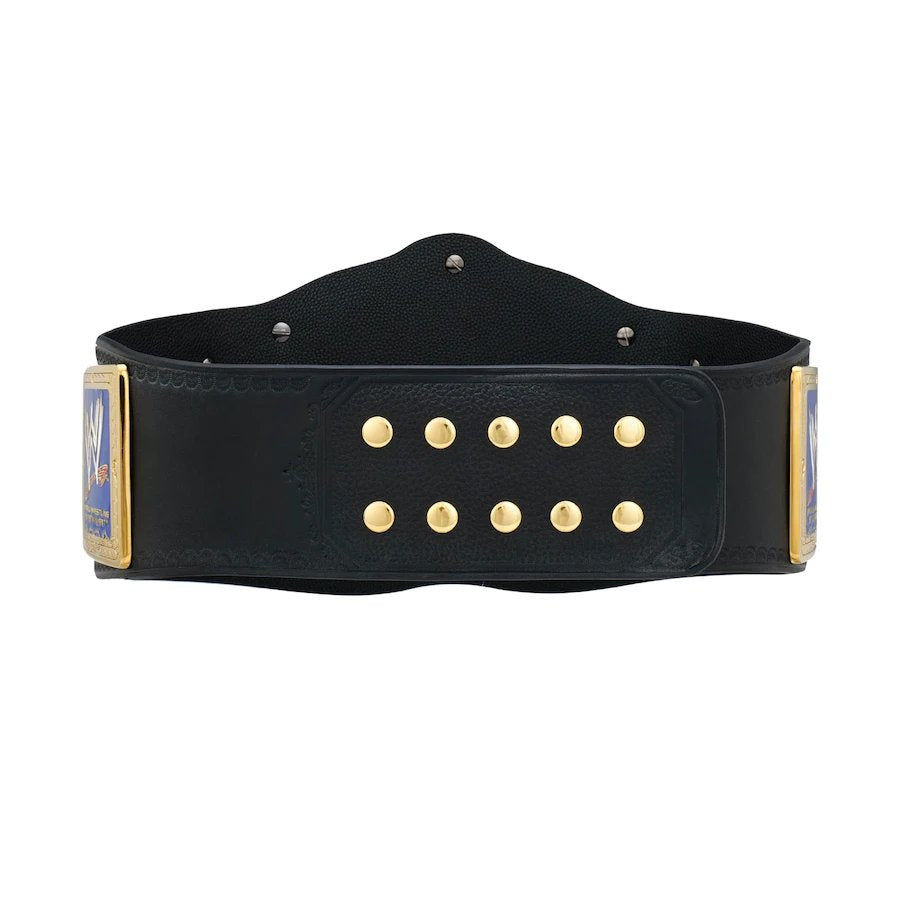 WWE SmackDown Tag Team Belt