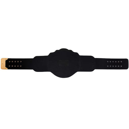 WWE World Heavyweight Championship Belt