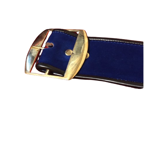 WWWF Heavyweight Championship Wrestling Belt