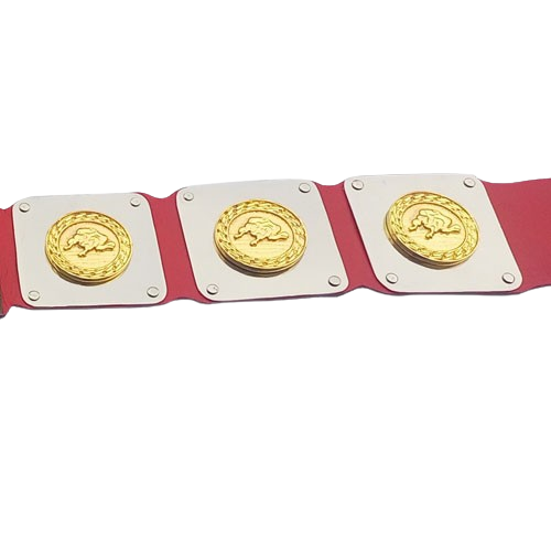 North American Wrestling Champion Belt