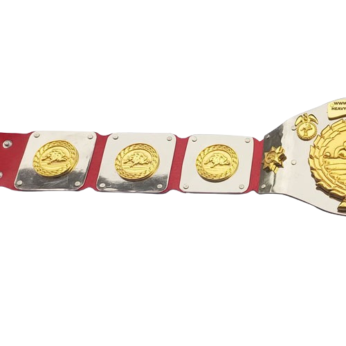 North American Wrestling Champion Belt