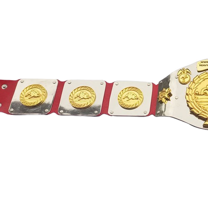 North American Wrestling Champion Belt
