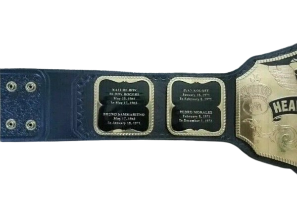 Hulk Hogan WWE Championship Belt