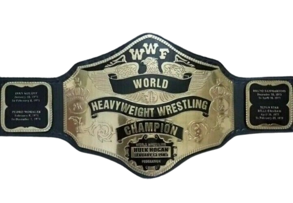 Hulk Hogan WWE Championship Belt